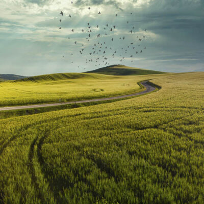 Amazing colorful sunset in Tuscany. Picturesque agrotourism and typical curved road with cypress, landscape in Tuscany, Italy, Europe
